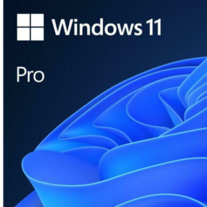 win11pro